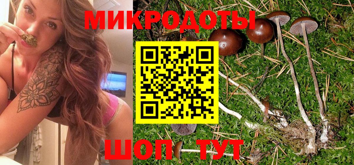 Шебекино  Галлюциногенные грибы GOLDEN TEACHER  Вход с VPN 